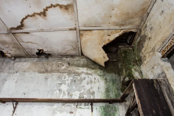 Water Damage Service in Chillicothe